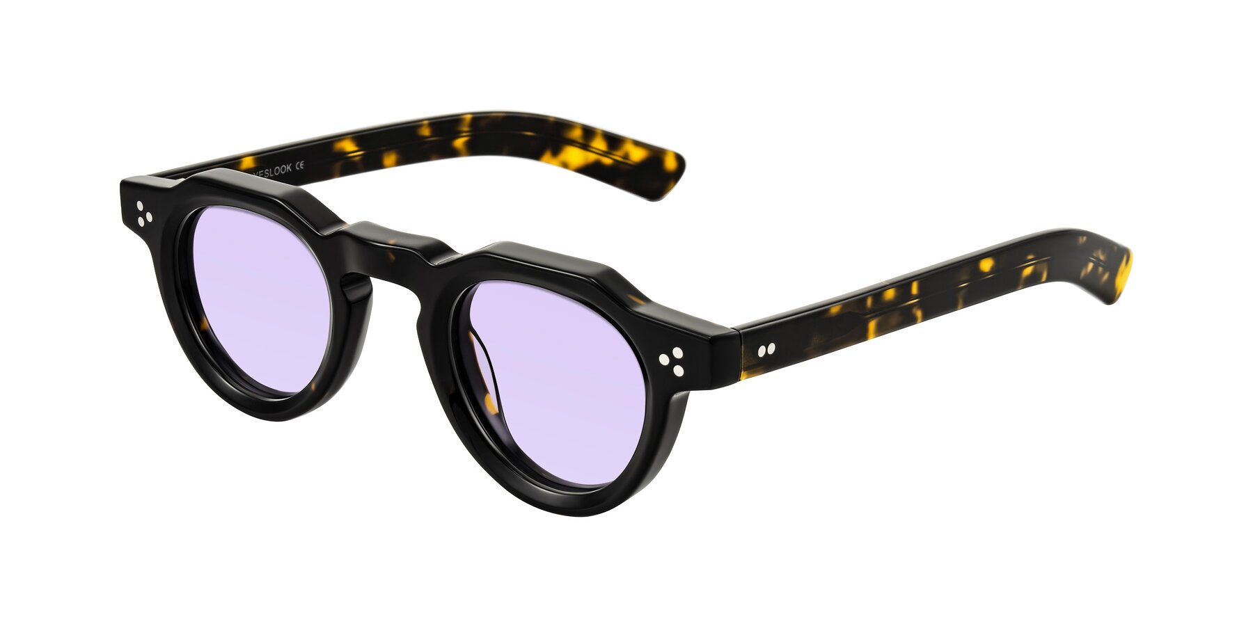 Angle of Awint in Dark Tortoise with Light Purple Tinted Lenses