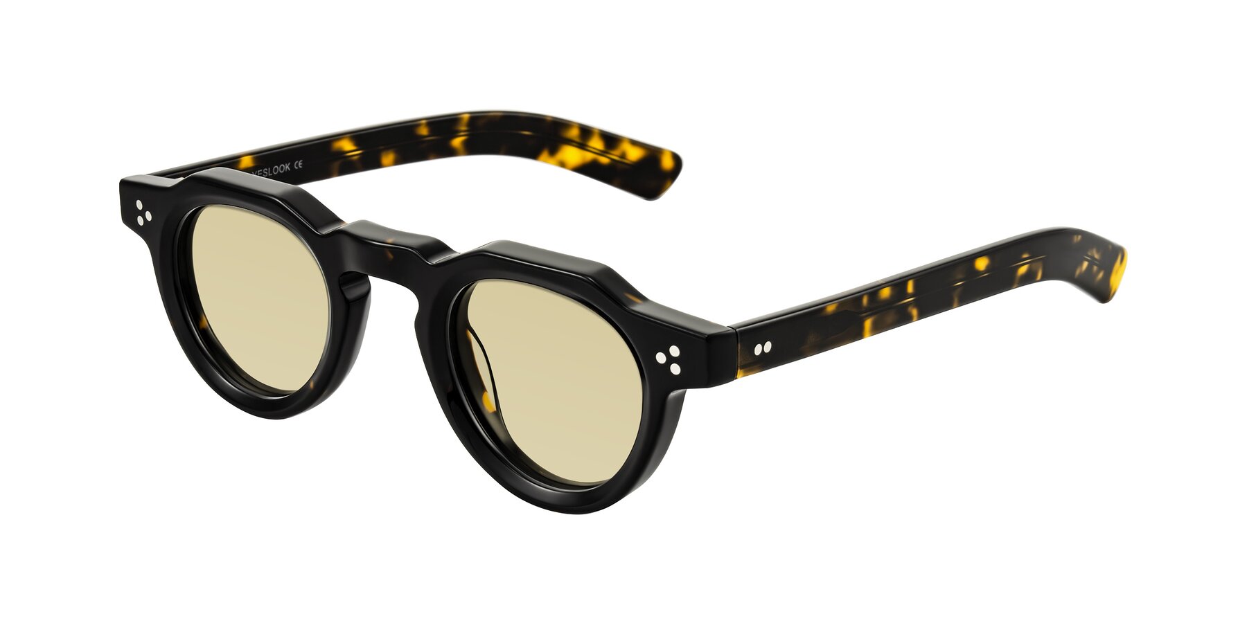 Angle of Awint in Dark Tortoise with Light Champagne Tinted Lenses