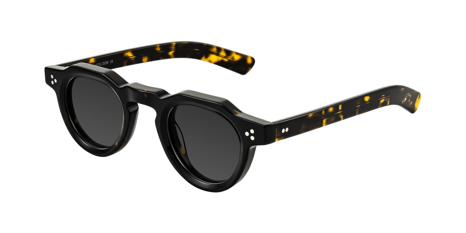 Angle of Awint in Dark Tortoise with Gray Tinted Lenses