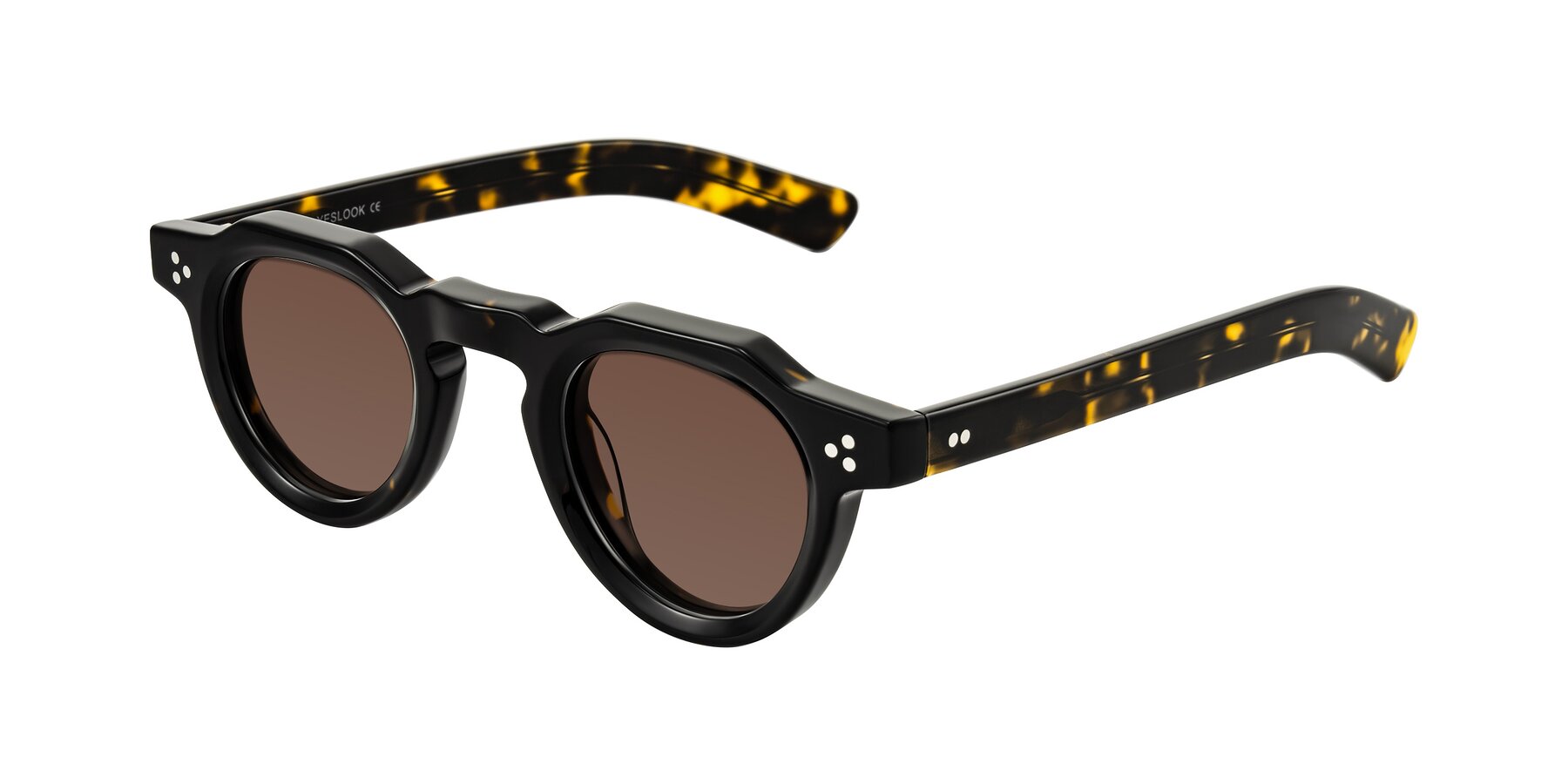 Angle of Awint in Dark Tortoise with Brown Tinted Lenses
