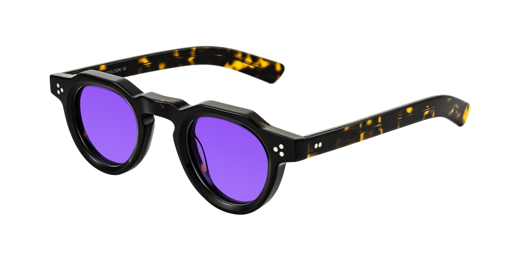 Angle of Awint in Dark Tortoise with Purple Tinted Lenses