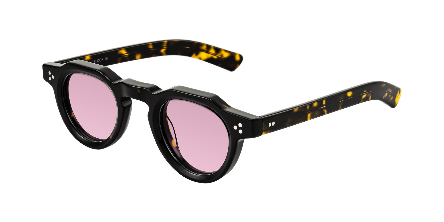 Angle of Awint in Dark Tortoise with Light Wine Tinted Lenses