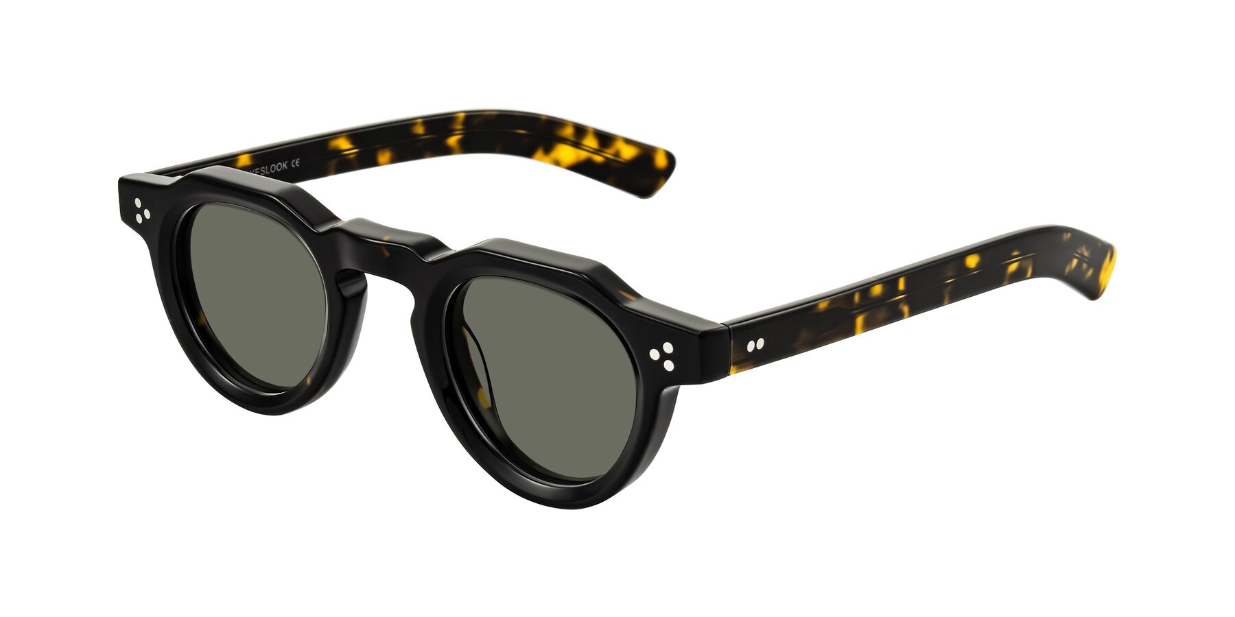 Angle of Awint in Dark Tortoise with Gray Polarized Lenses