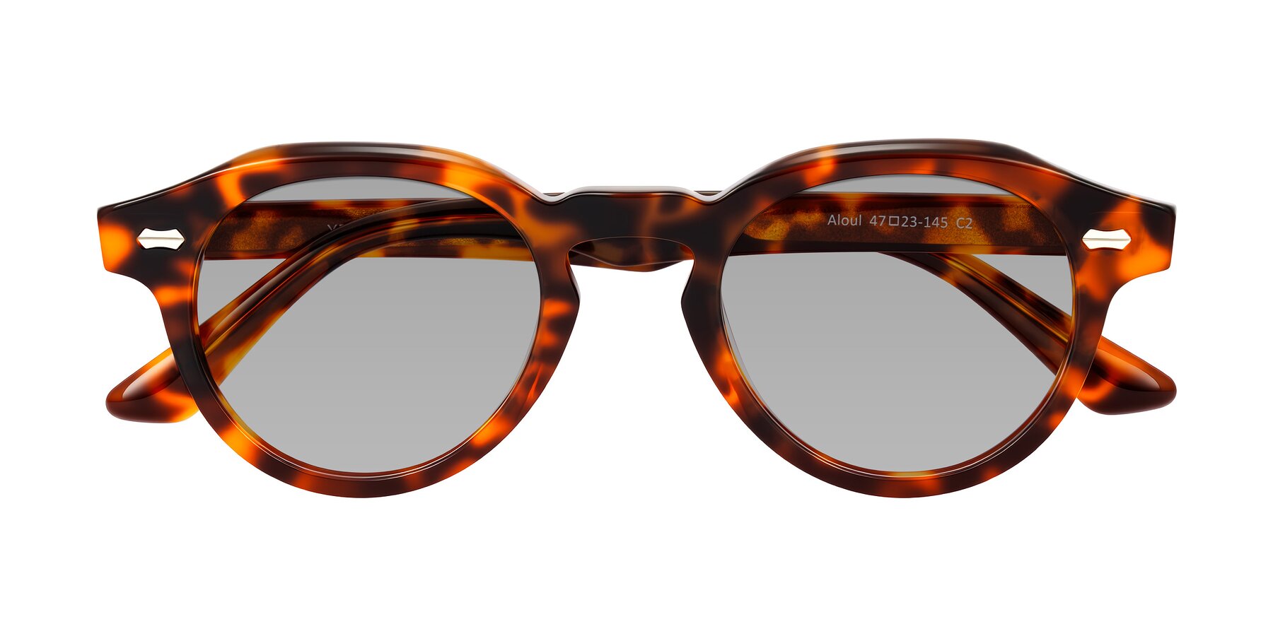 Folded Front of Aloul in Tortoise with Light Gray Tinted Lenses