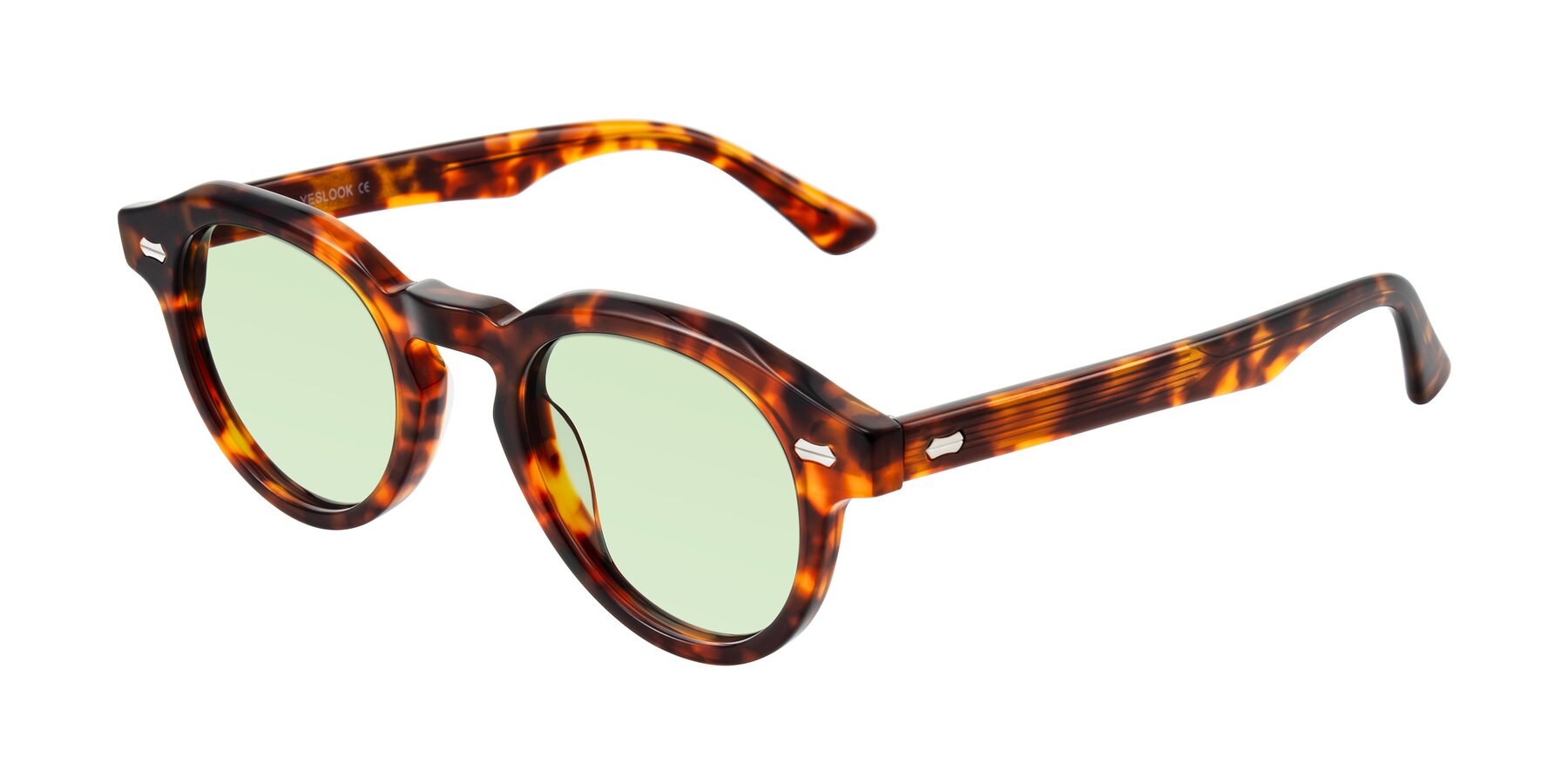 Angle of Aloul in Tortoise with Light Green Tinted Lenses
