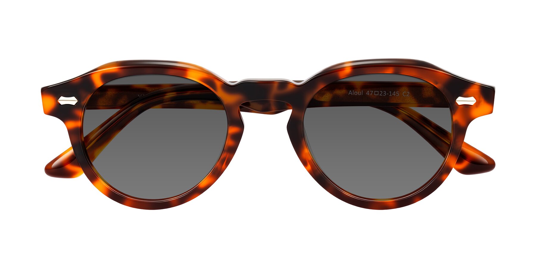 Folded Front of Aloul in Tortoise with Medium Gray Tinted Lenses