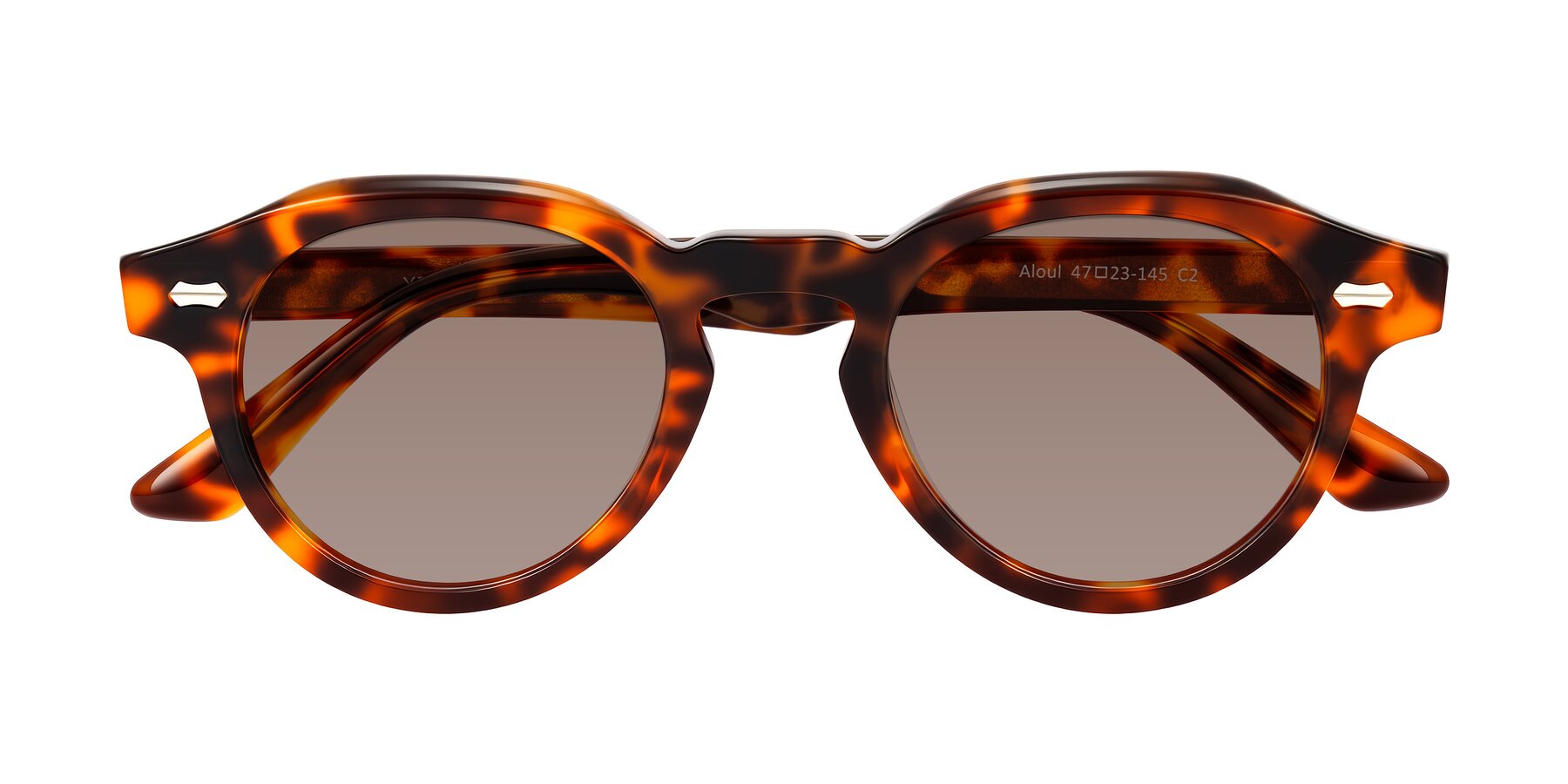 Folded Front of Aloul in Tortoise with Medium Brown Tinted Lenses