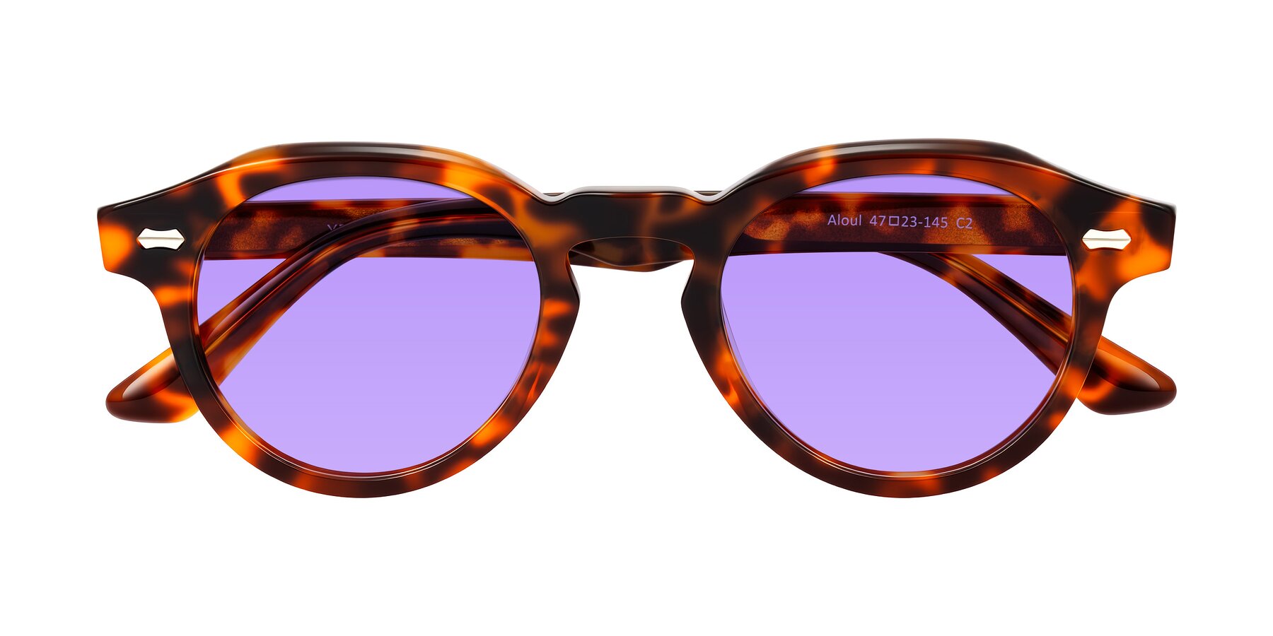Folded Front of Aloul in Tortoise with Medium Purple Tinted Lenses