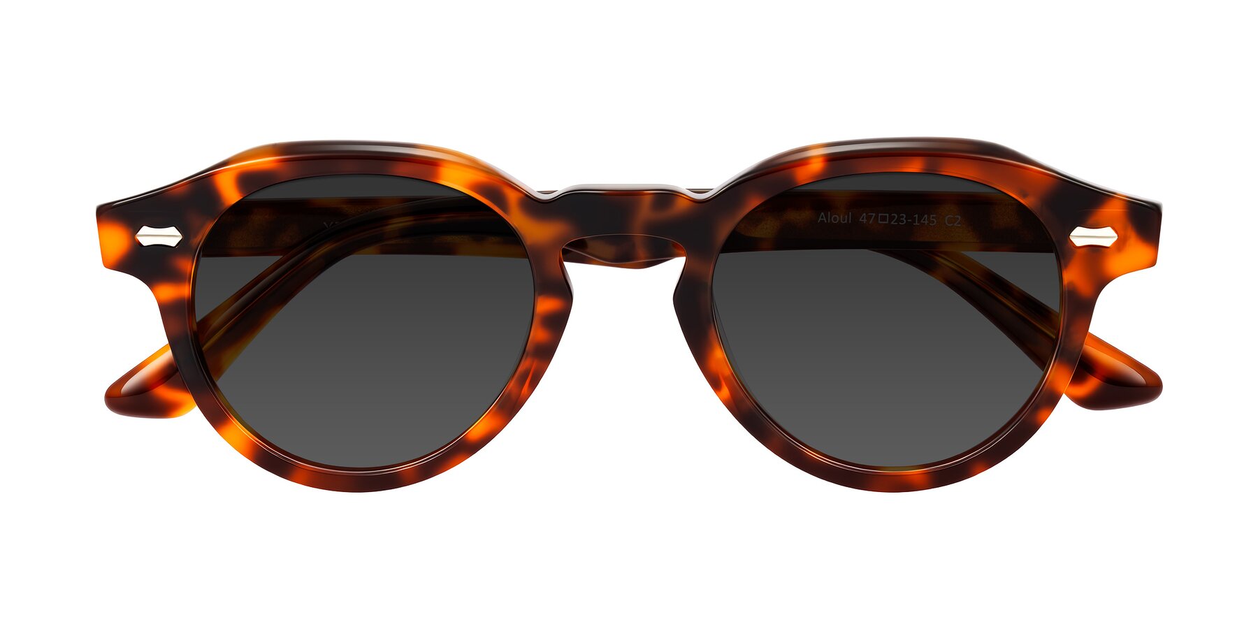 Folded Front of Aloul in Tortoise with Gray Tinted Lenses