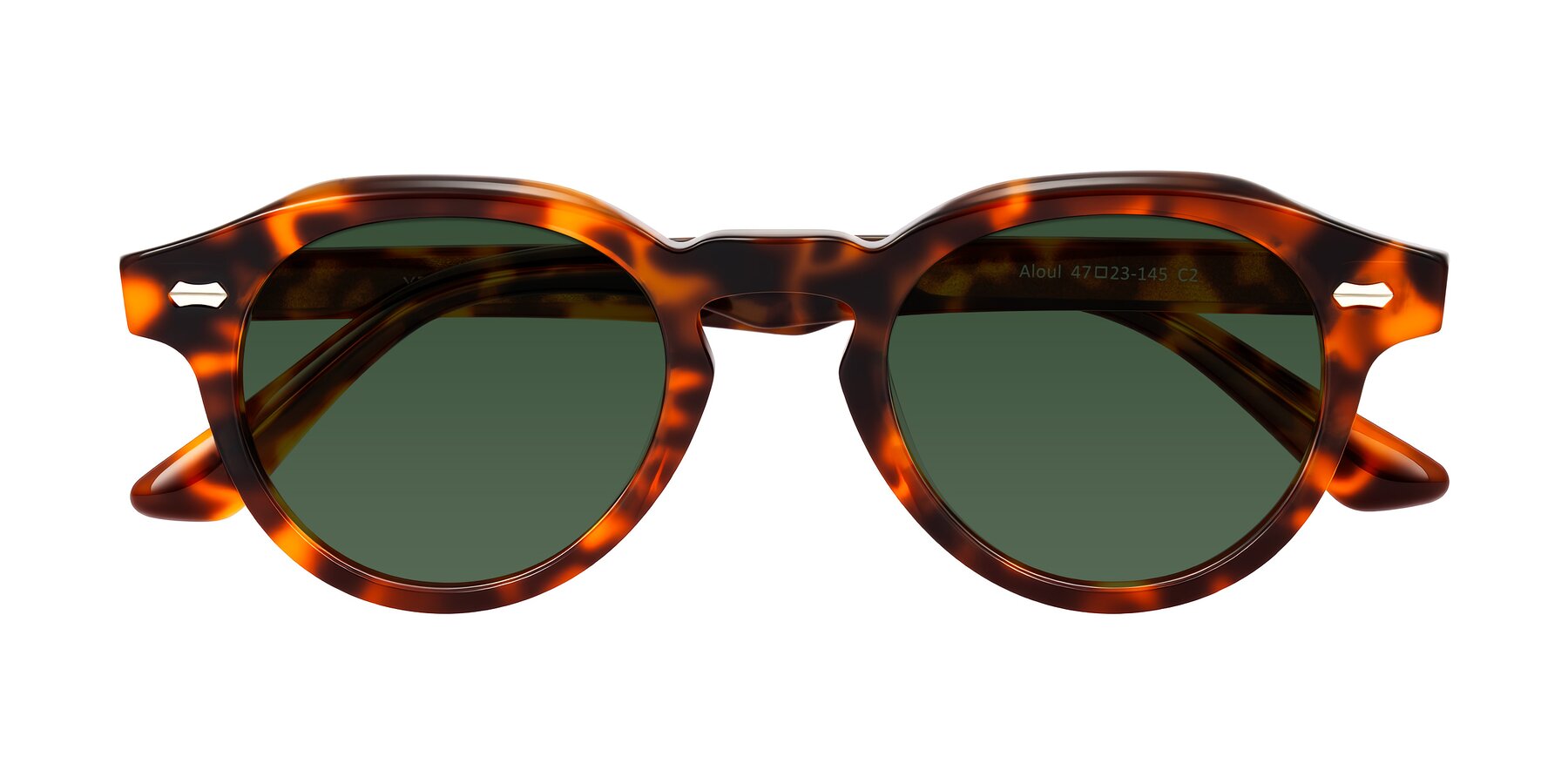 Folded Front of Aloul in Tortoise with Green Tinted Lenses