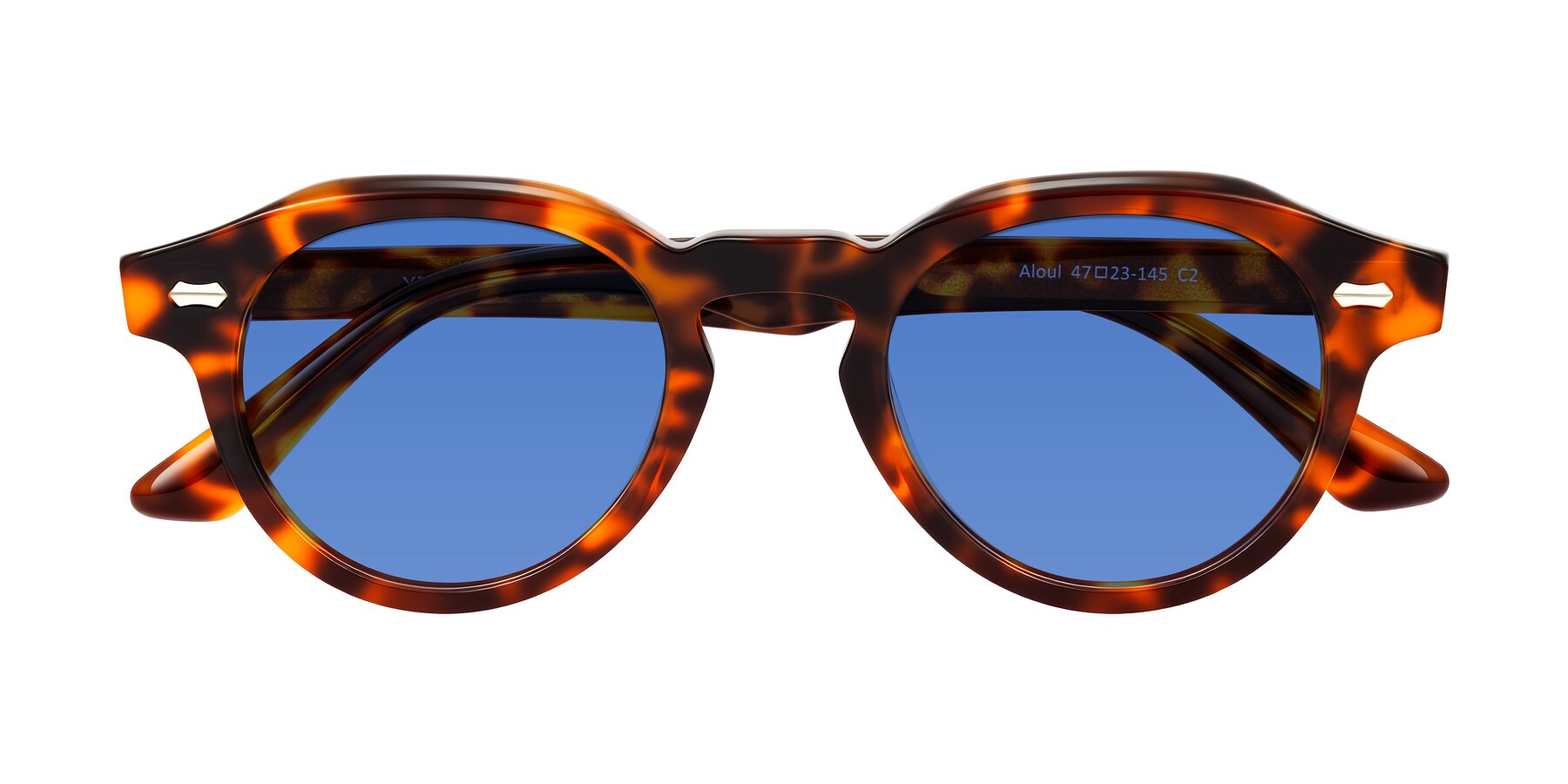 Folded Front of Aloul in Tortoise with Blue Tinted Lenses