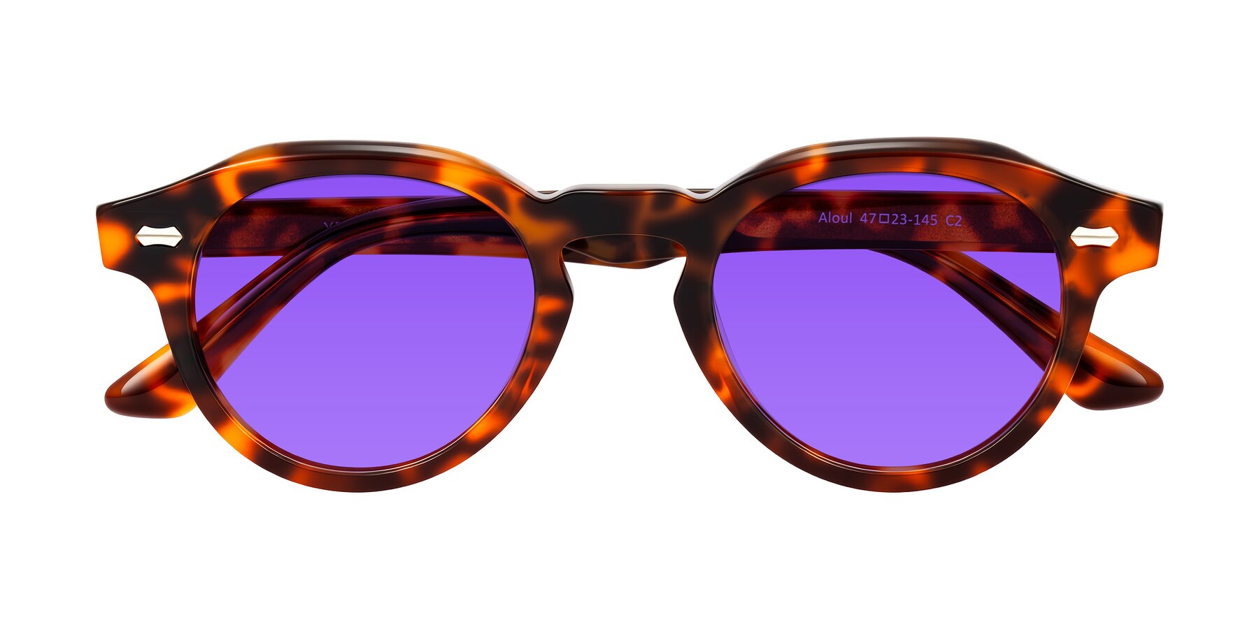 Folded Front of Aloul in Tortoise with Purple Tinted Lenses