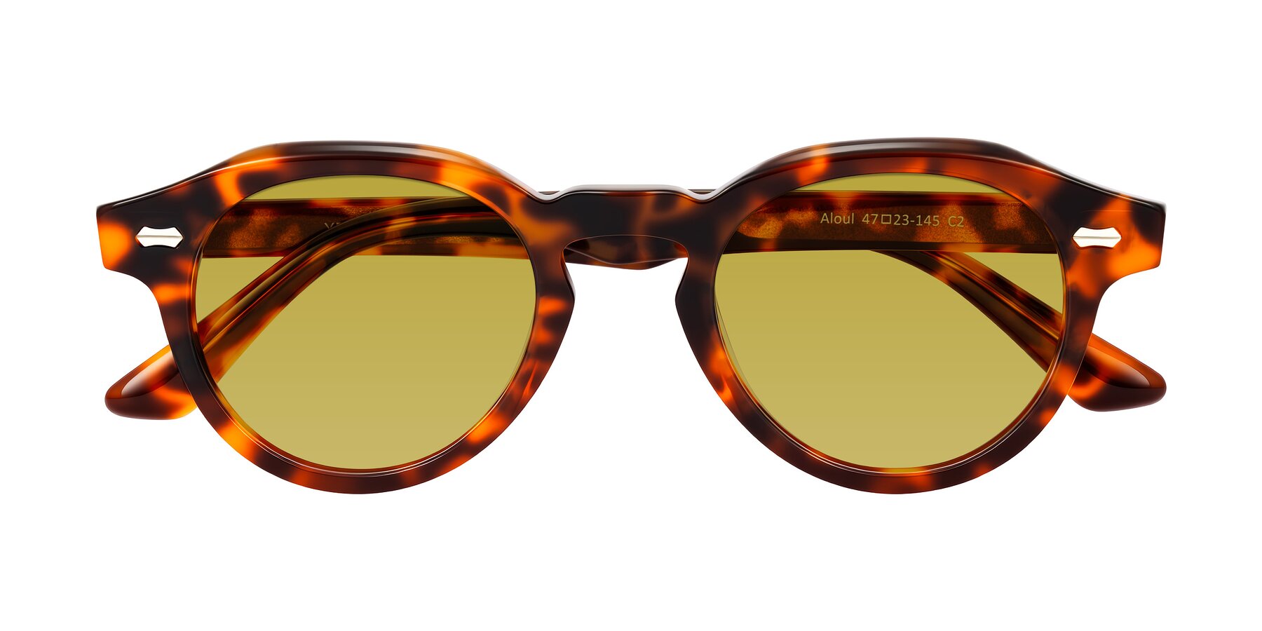 Folded Front of Aloul in Tortoise with Champagne Tinted Lenses