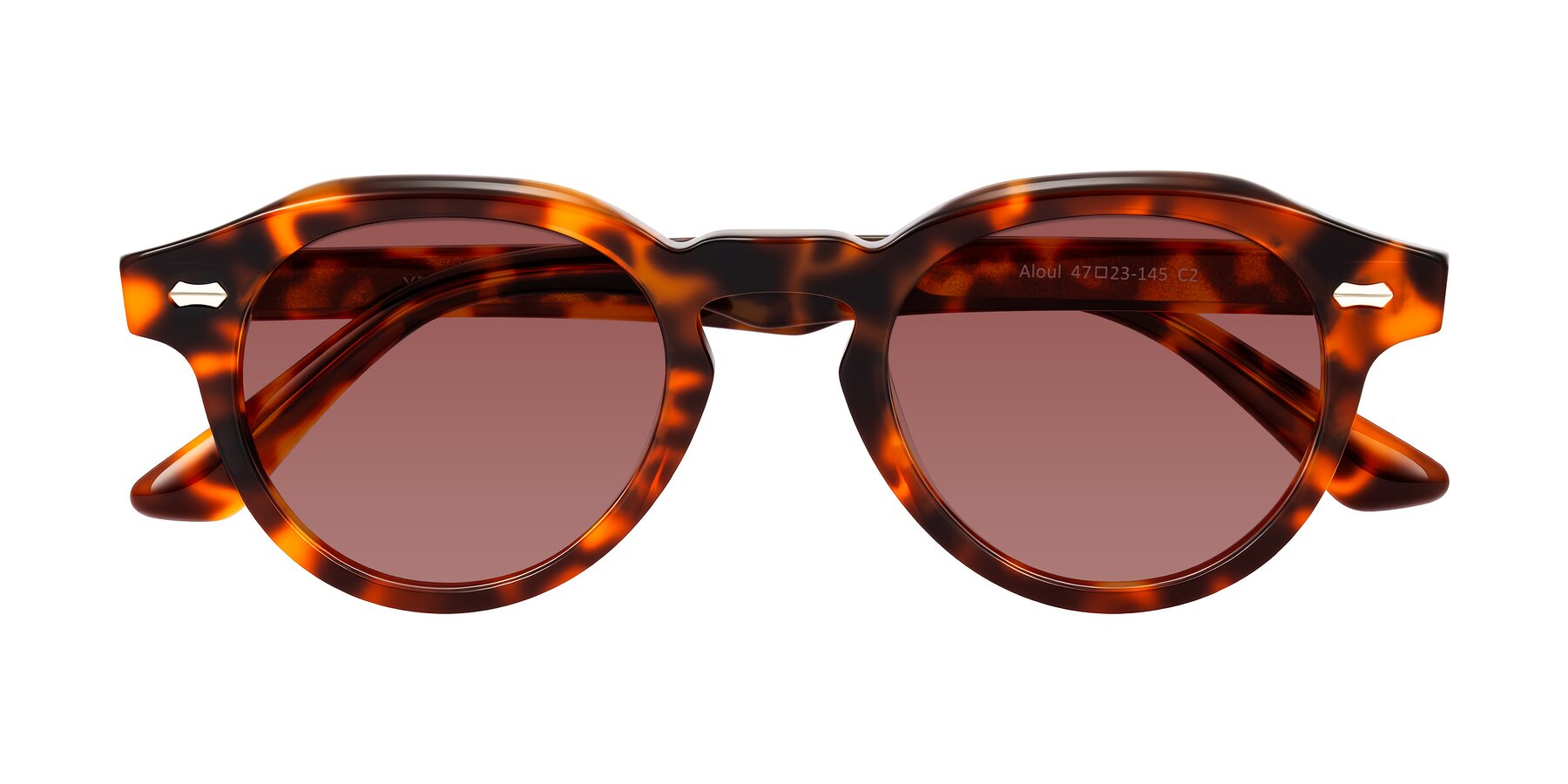Folded Front of Aloul in Tortoise with Garnet Tinted Lenses