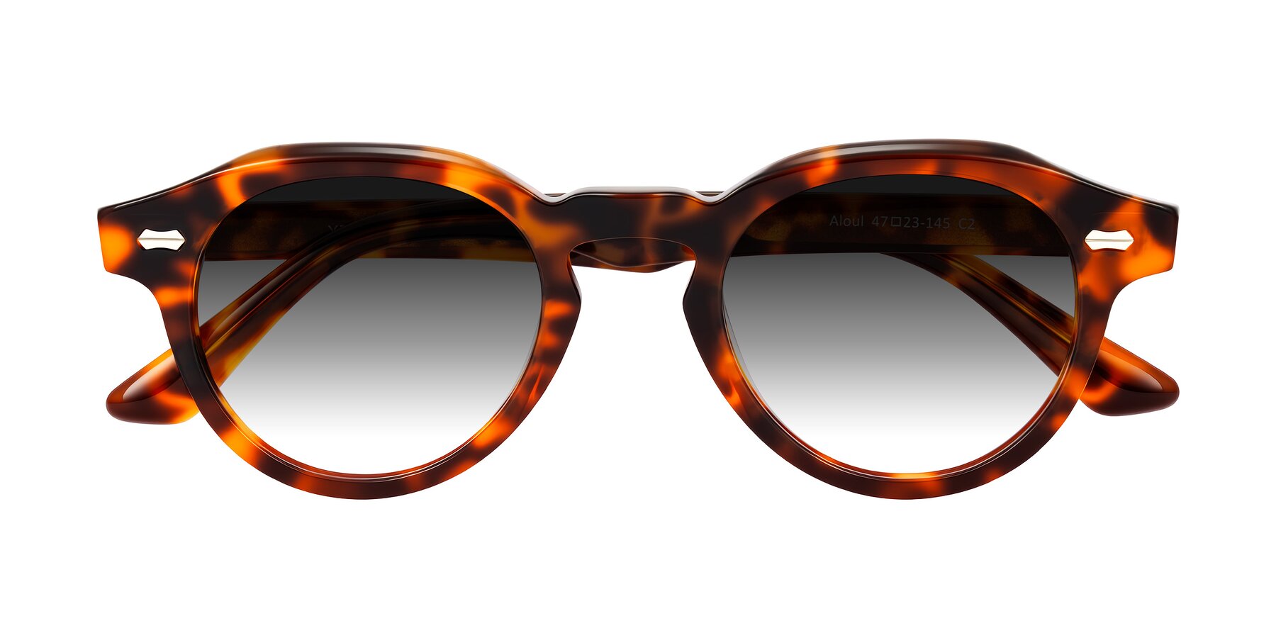 Folded Front of Aloul in Tortoise with Gray Gradient Lenses
