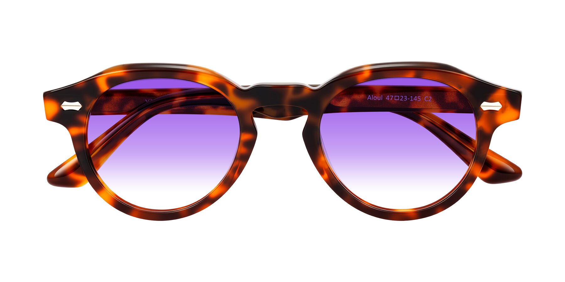 Folded Front of Aloul in Tortoise with Purple Gradient Lenses