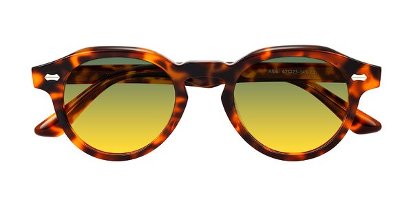 Front of Aloul in Tortoise