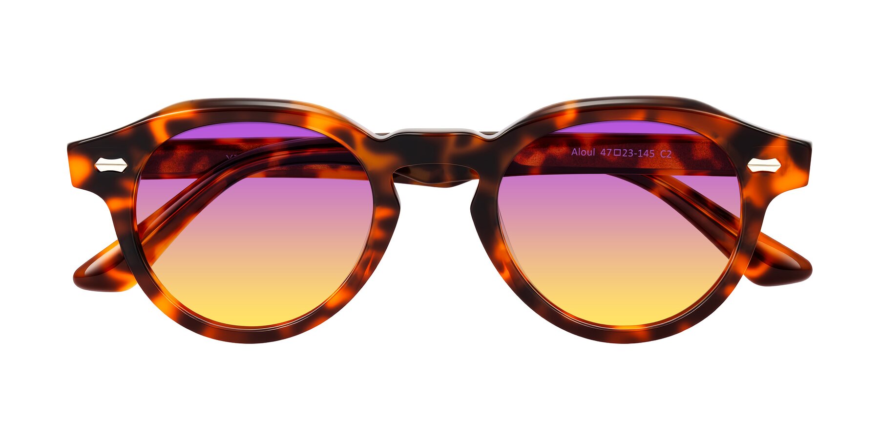 Folded Front of Aloul in Tortoise with Purple / Yellow Gradient Lenses