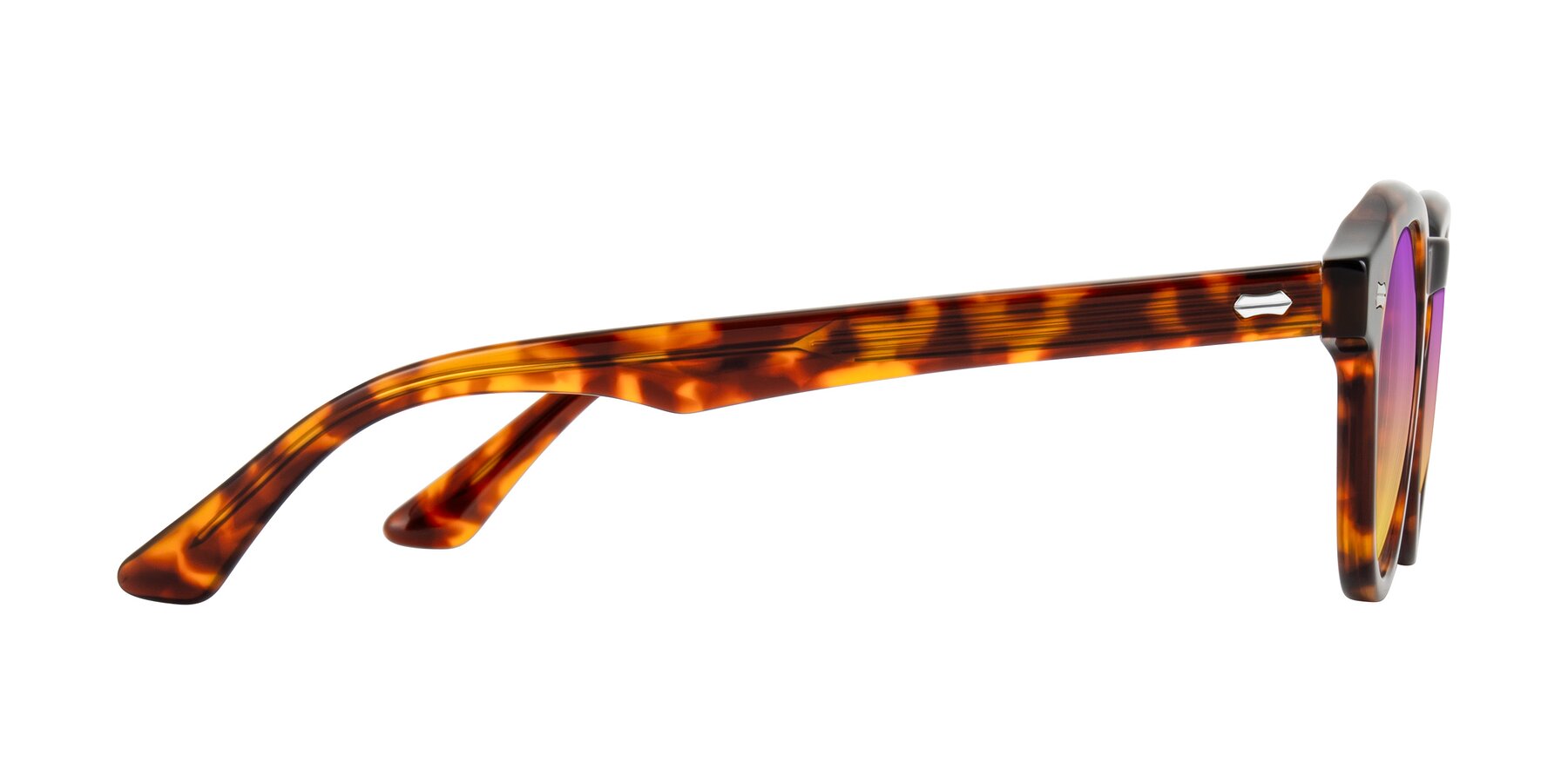 Side of Aloul in Tortoise with Purple / Yellow Gradient Lenses