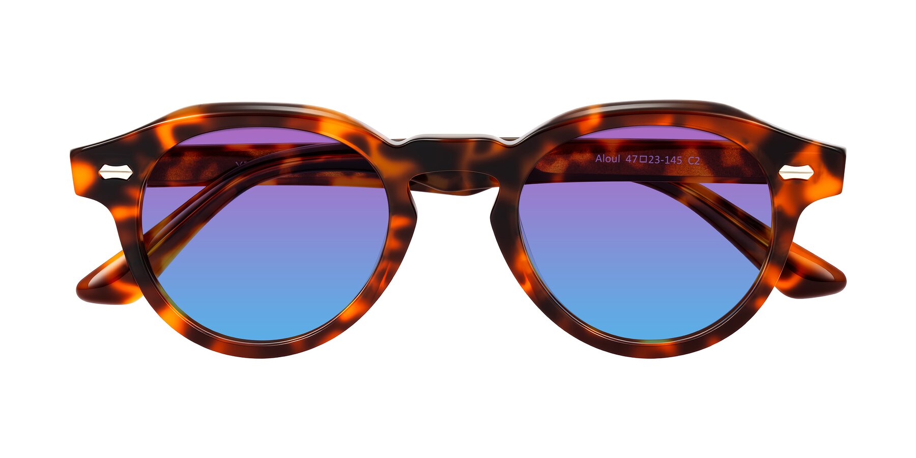 Folded Front of Aloul in Tortoise with Purple / Blue Gradient Lenses