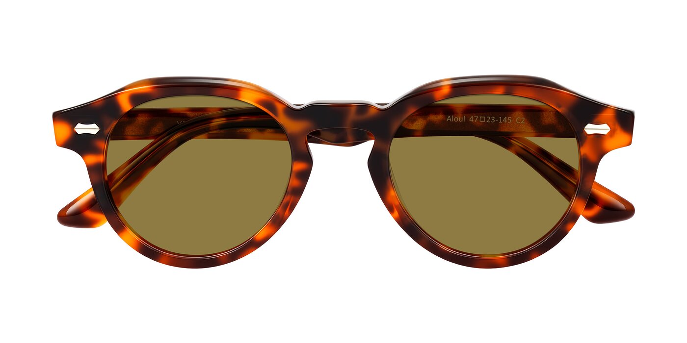 Aloul - Tortoise Polarized Sunglasses