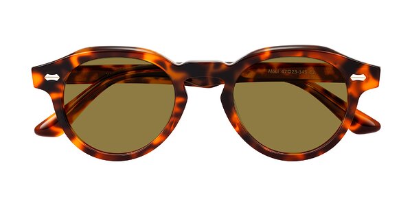Front of Aloul in Tortoise