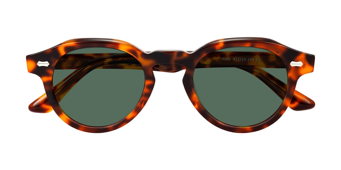 Aloul - Tortoise Polarized Sunglasses