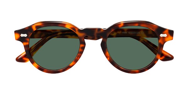 Front of Aloul in Tortoise
