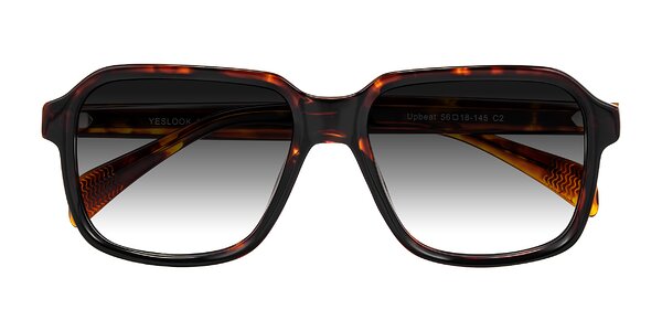 Front of Upbeat in Tortoise