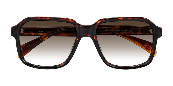 Front of Upbeat in Tortoise