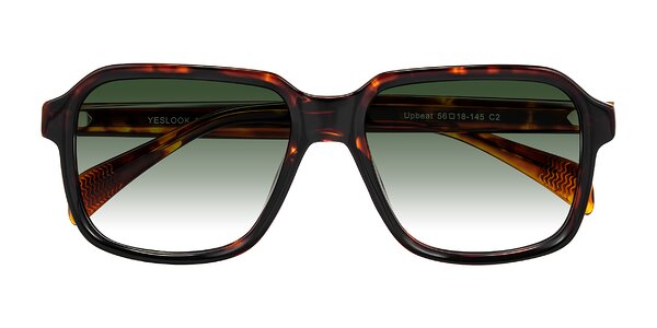 Front of Upbeat in Tortoise