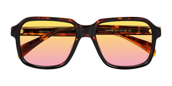 Front of Upbeat in Tortoise