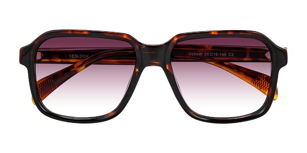 Front of Upbeat in Tortoise