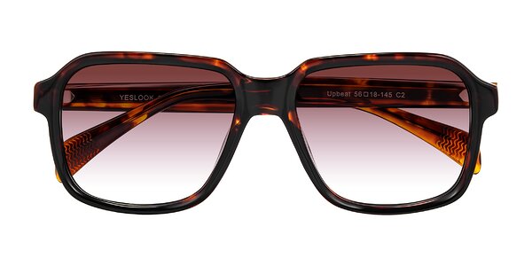 Front of Upbeat in Tortoise
