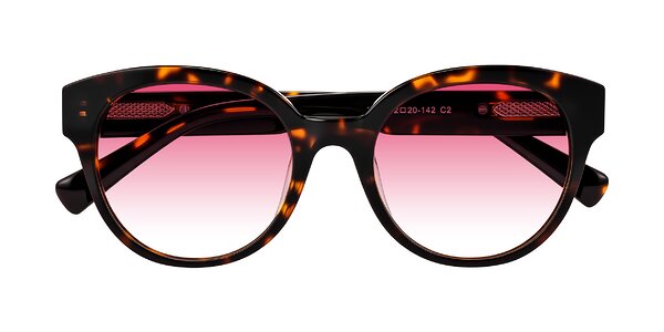 Front of Zipa in Tortoise