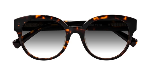 Front of Zipa in Tortoise