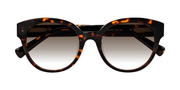 Front of Zipa in Tortoise