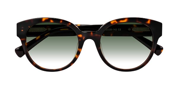 Front of Zipa in Tortoise