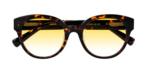 Front of Zipa in Tortoise