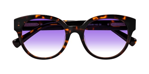 Front of Zipa in Tortoise