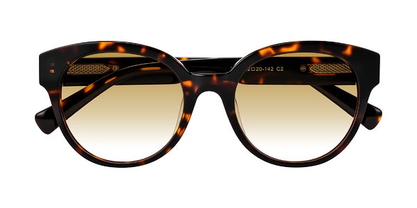 Front of Zipa in Tortoise