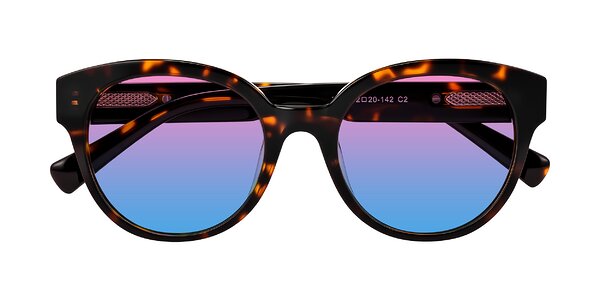 Front of Zipa in Tortoise