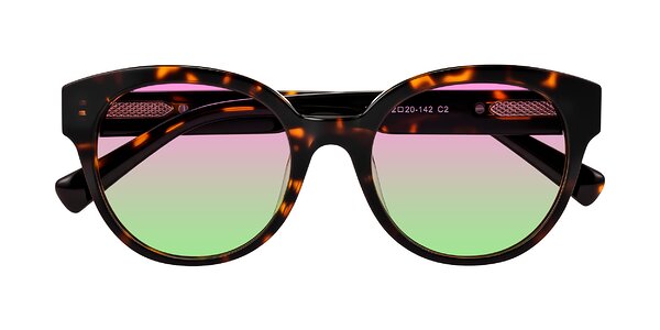 Front of Zipa in Tortoise