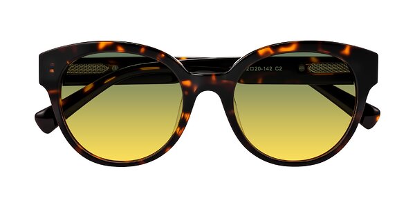 Front of Zipa in Tortoise