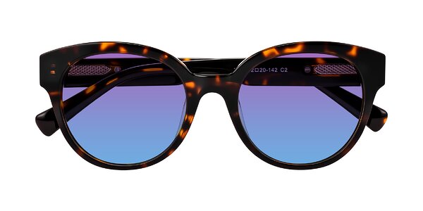 Front of Zipa in Tortoise