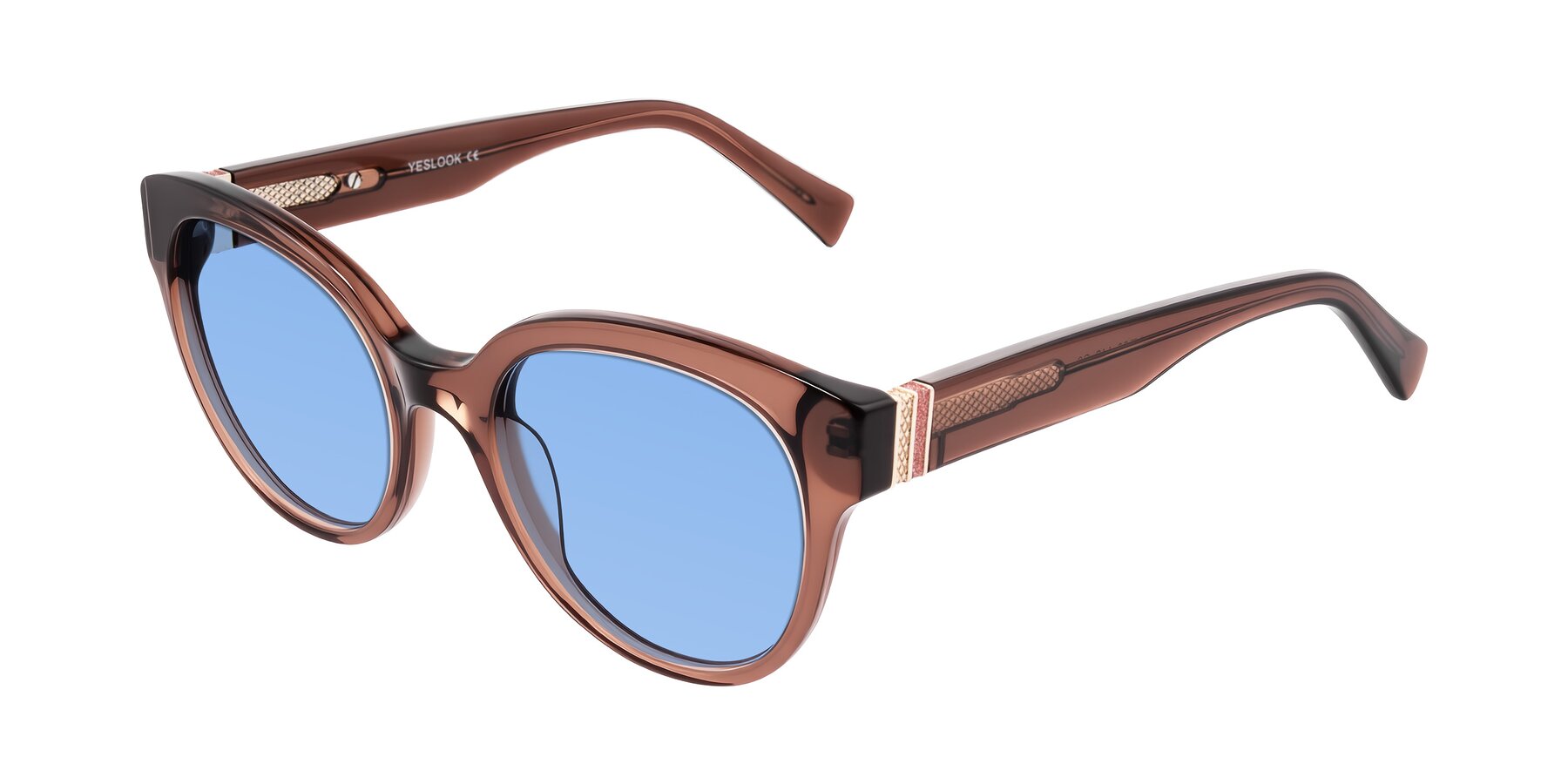 Angle of Zipa in Translucent Brown with Medium Blue Tinted Lenses