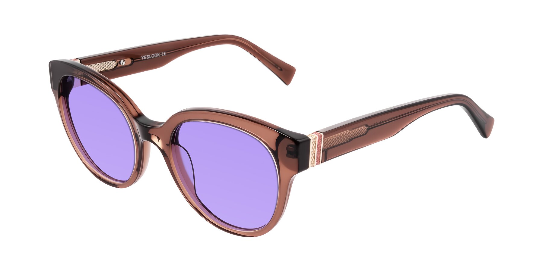 Angle of Zipa in Translucent Brown with Medium Purple Tinted Lenses