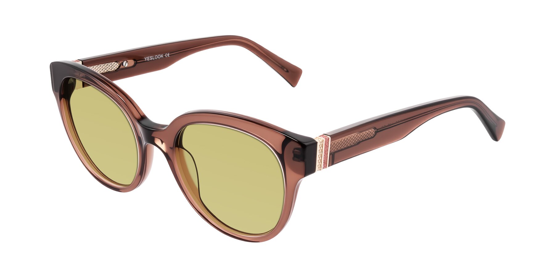Angle of Zipa in Translucent Brown with Medium Champagne Tinted Lenses