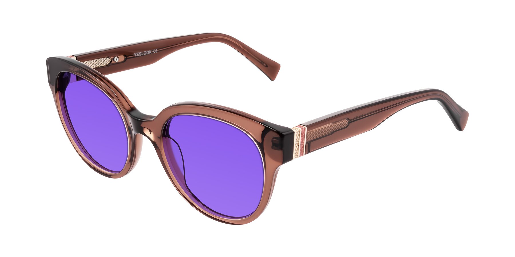 Angle of Zipa in Translucent Brown with Purple Tinted Lenses