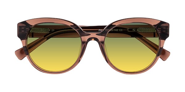 Front of Zipa in Translucent Brown